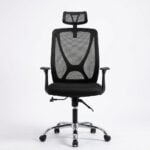 Astra Pro Executive Mesh Chair