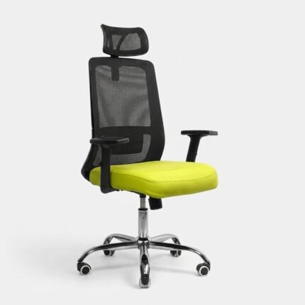 Aero Pro Executive Mesh Chair Back View